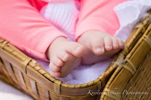 10498025_340548882765021_3311282157654639401_o