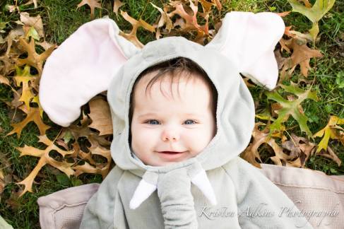 1961014_387579321395310_5750044609687380661_o